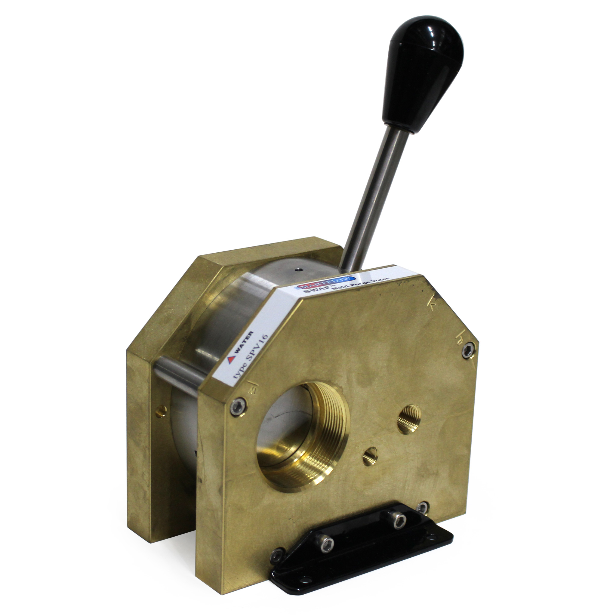 Swap Valve, 2" NPT, Brass Body, with Check Valve and Locking Pin - Image 1