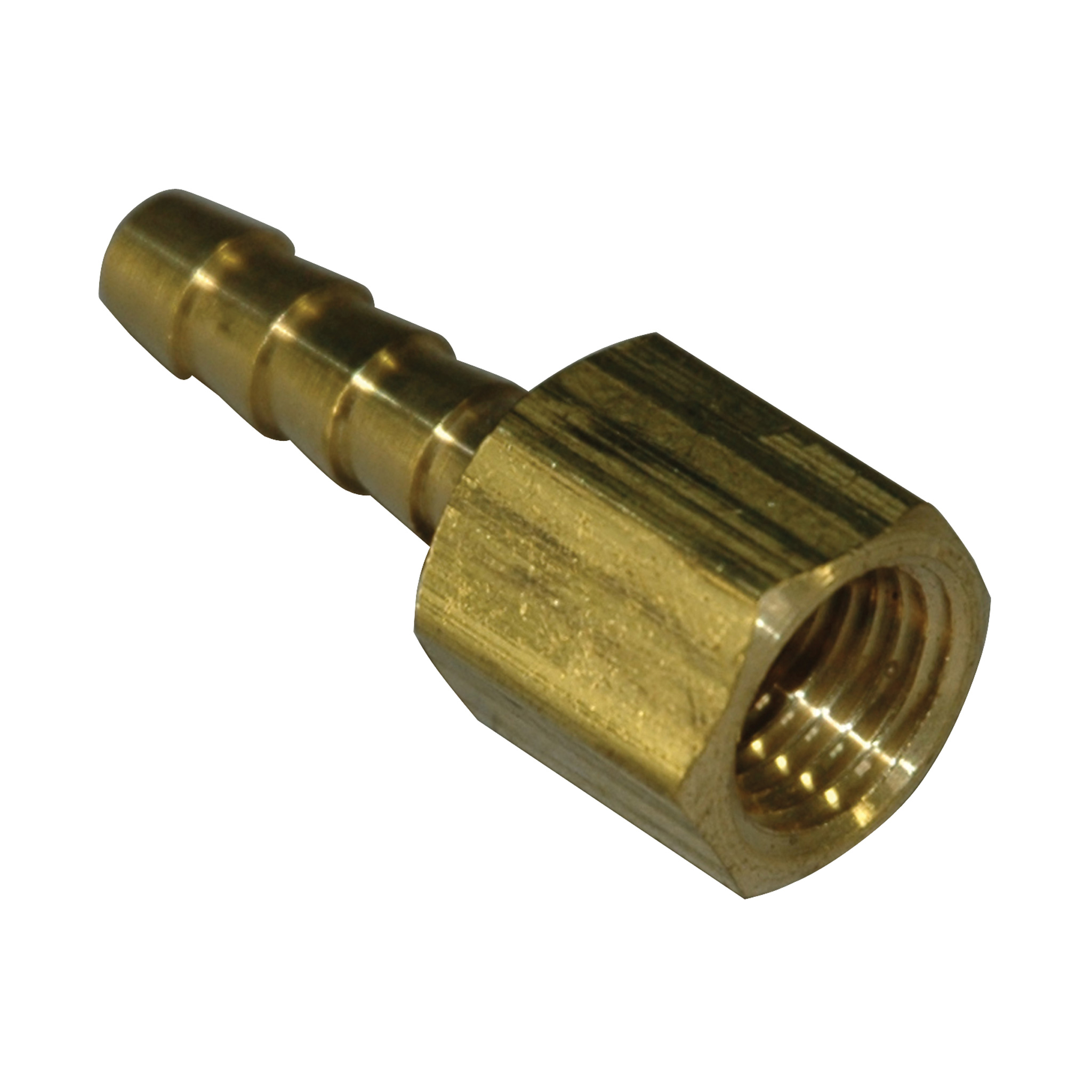 Hose Barb, 1/4" Inside Diameter Hose, 1/4" Female NPT, Straight, Brass - Image 1
